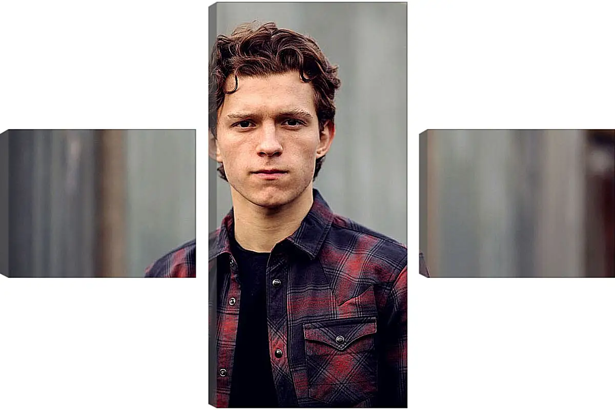 Модульная картина - Том Холланд. Tom Holland