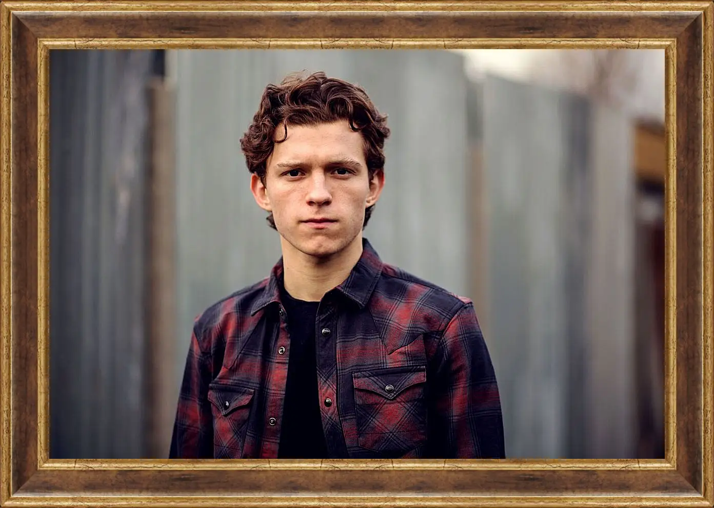 Картина в раме - Том Холланд. Tom Holland