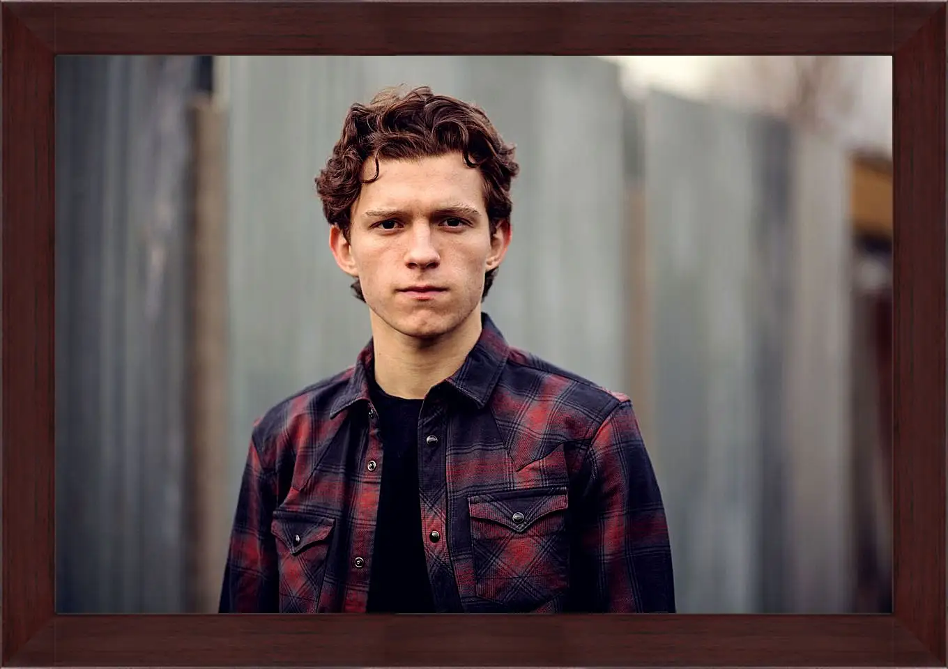 Картина в раме - Том Холланд. Tom Holland