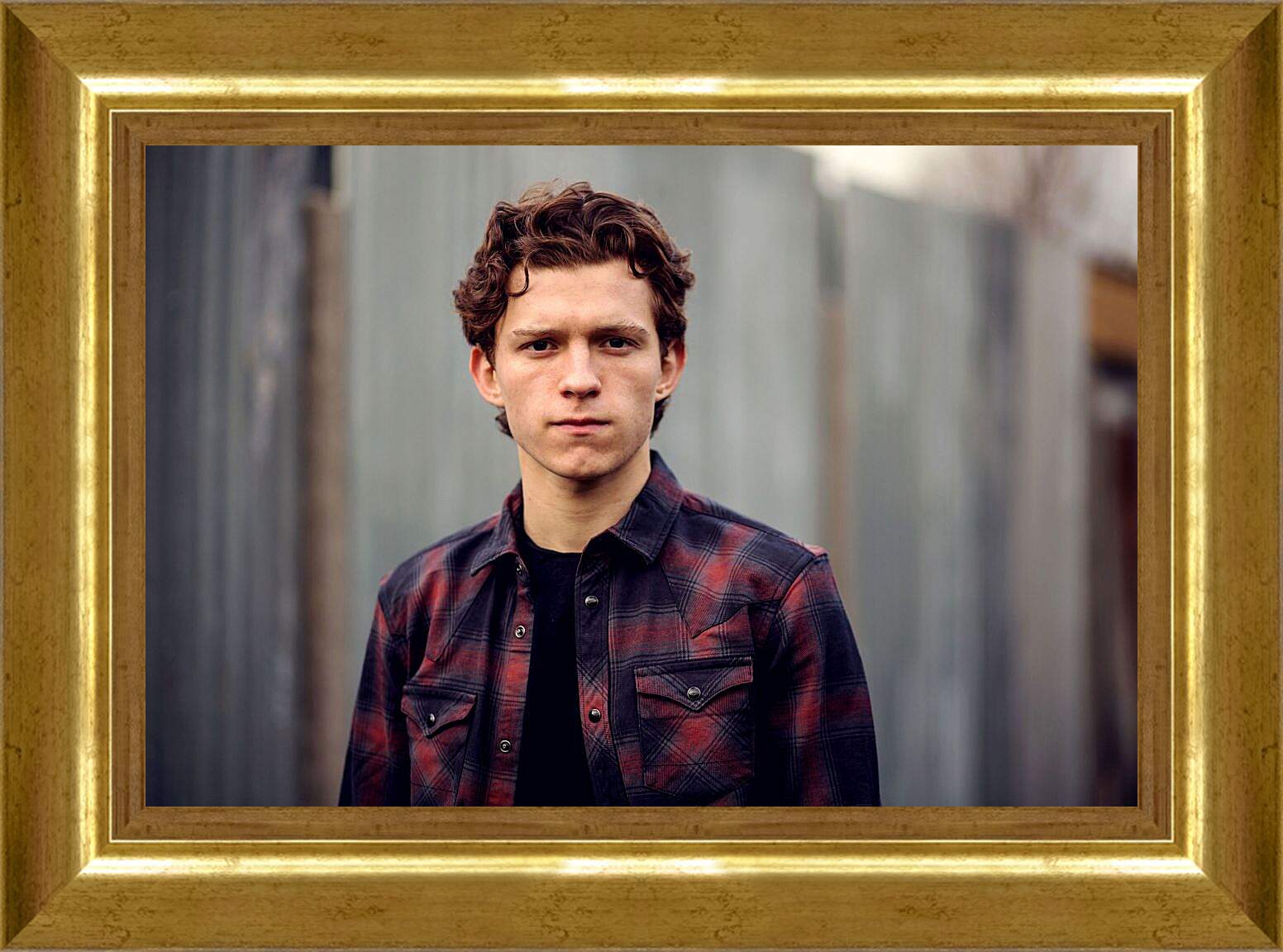 Картина в раме - Том Холланд. Tom Holland