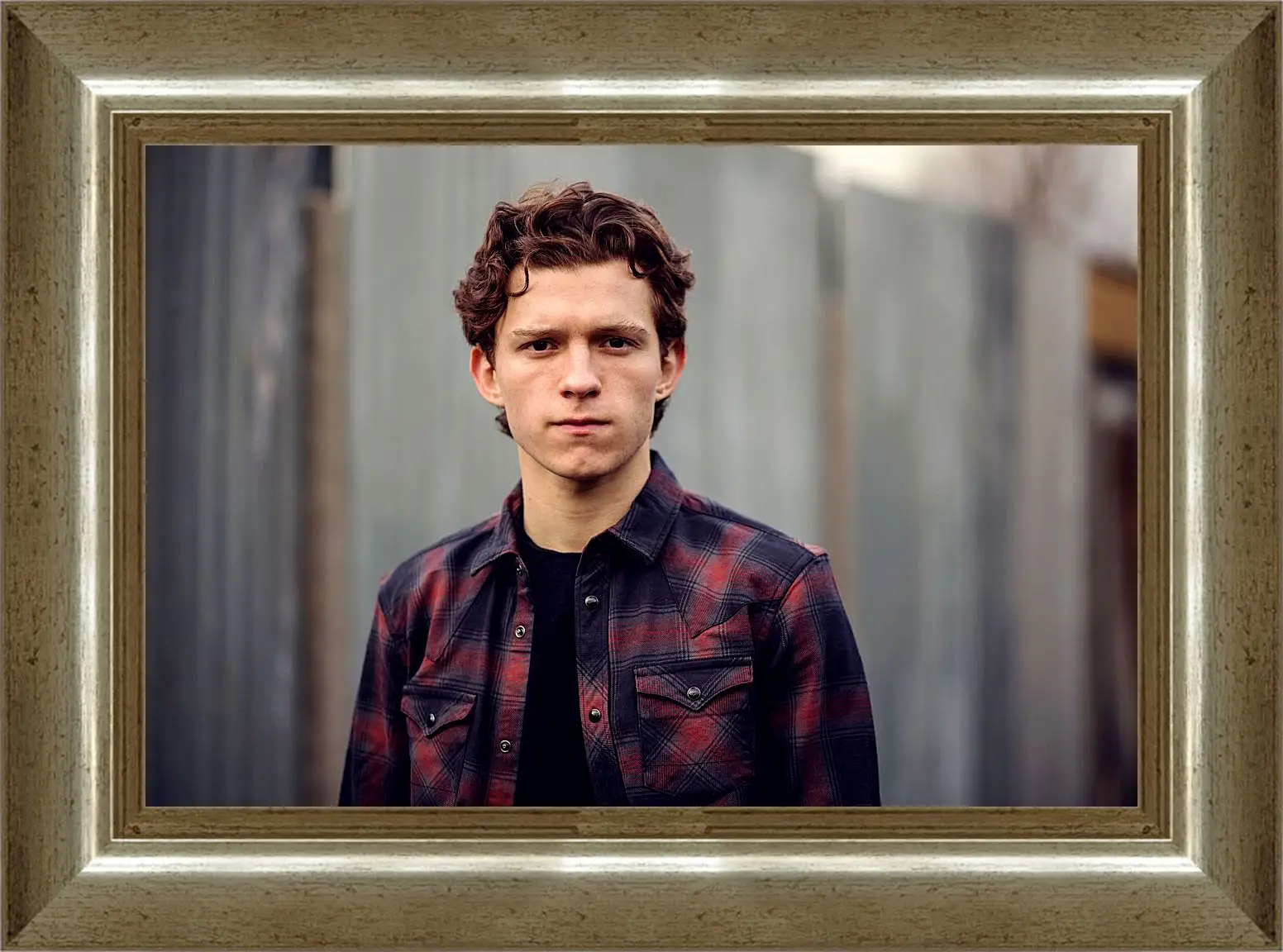 Картина в раме - Том Холланд. Tom Holland