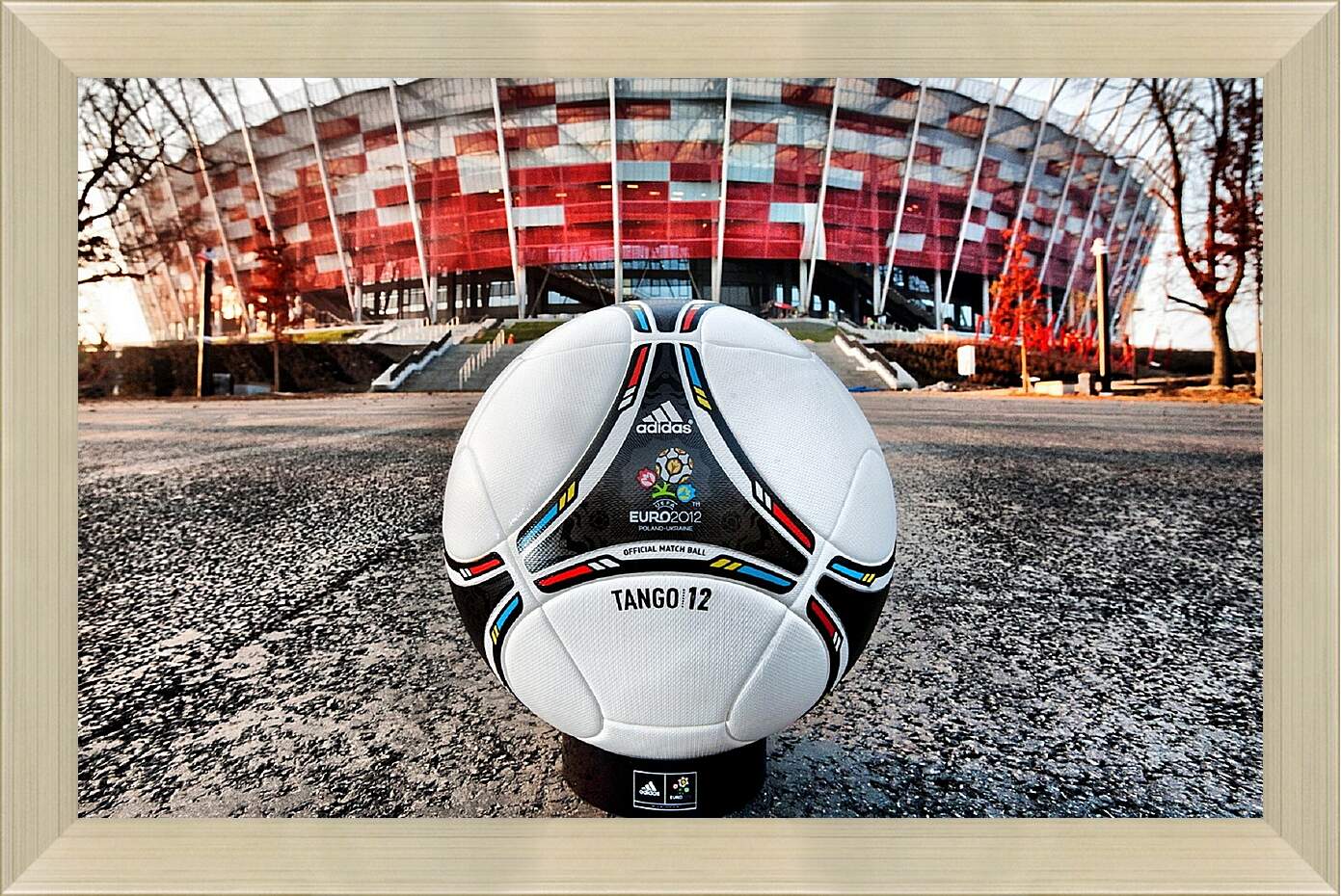 Картина в раме - Мяч на фоне стадиона