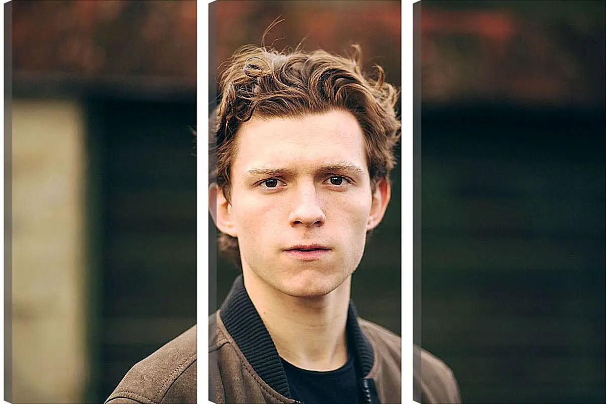 Модульная картина - Том Холланд. Tom Holland