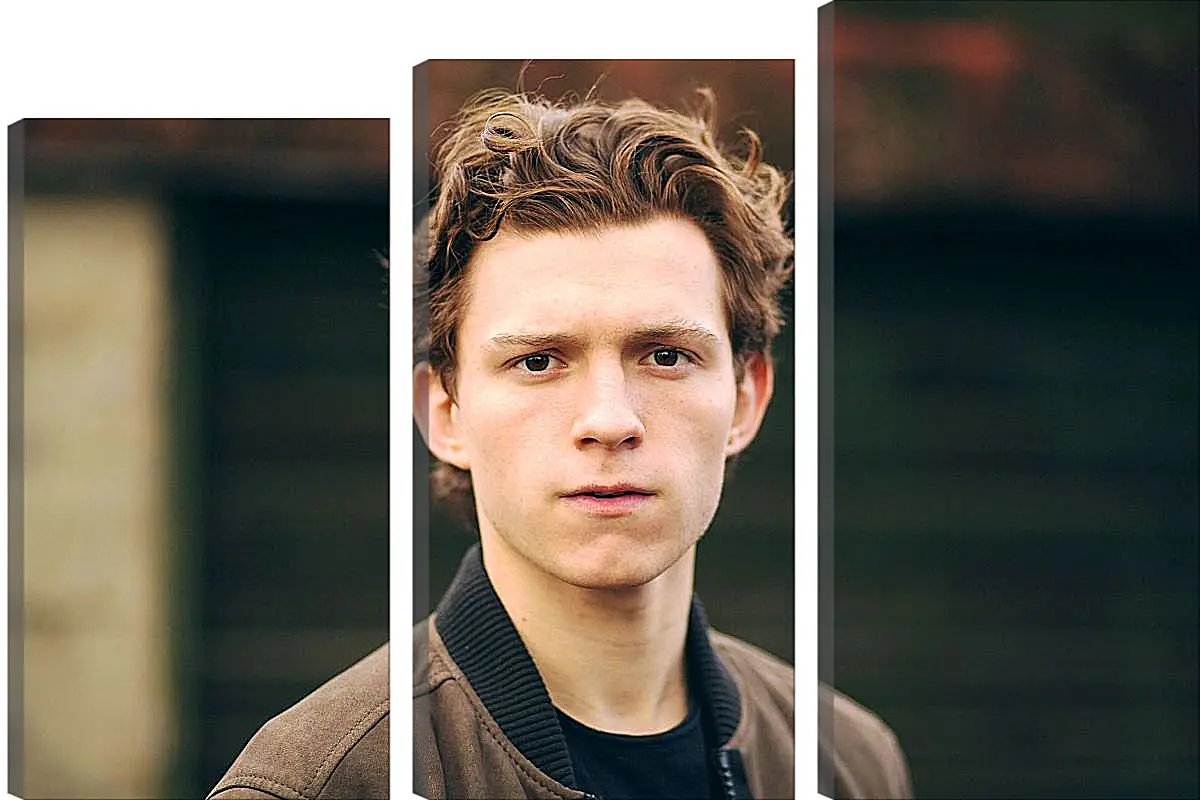 Модульная картина - Том Холланд. Tom Holland