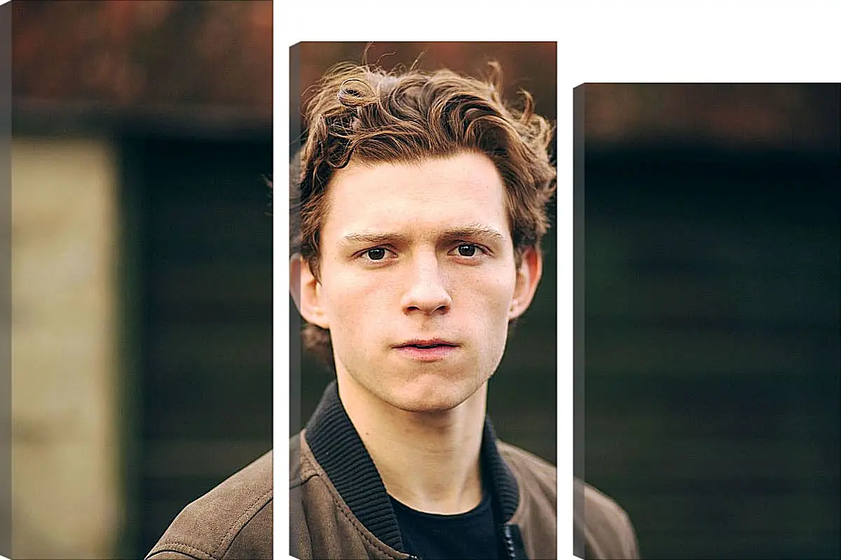 Модульная картина - Том Холланд. Tom Holland