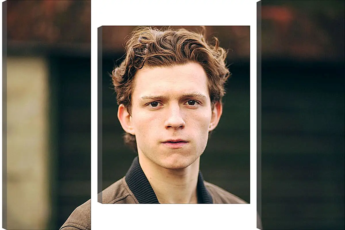 Модульная картина - Том Холланд. Tom Holland