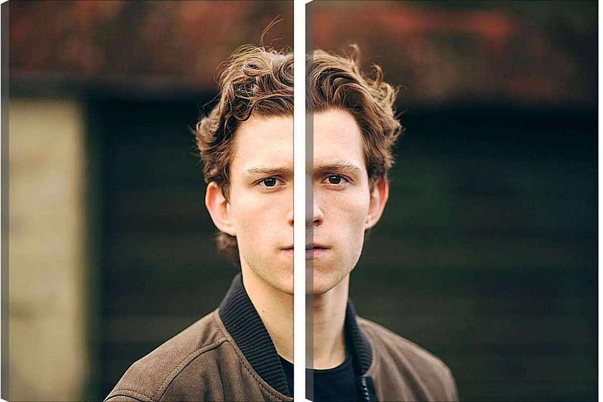 Модульная картина - Том Холланд. Tom Holland