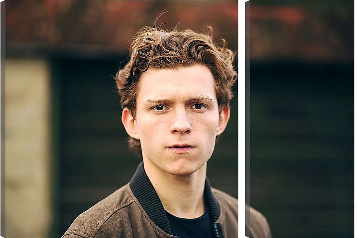 Модульная картина - Том Холланд. Tom Holland