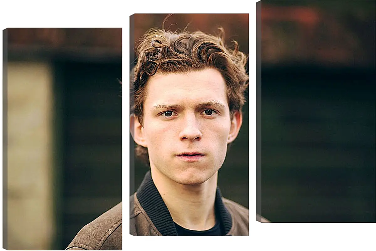 Модульная картина - Том Холланд. Tom Holland