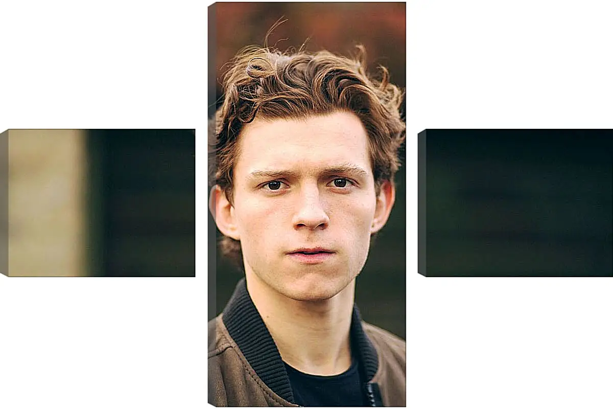 Модульная картина - Том Холланд. Tom Holland