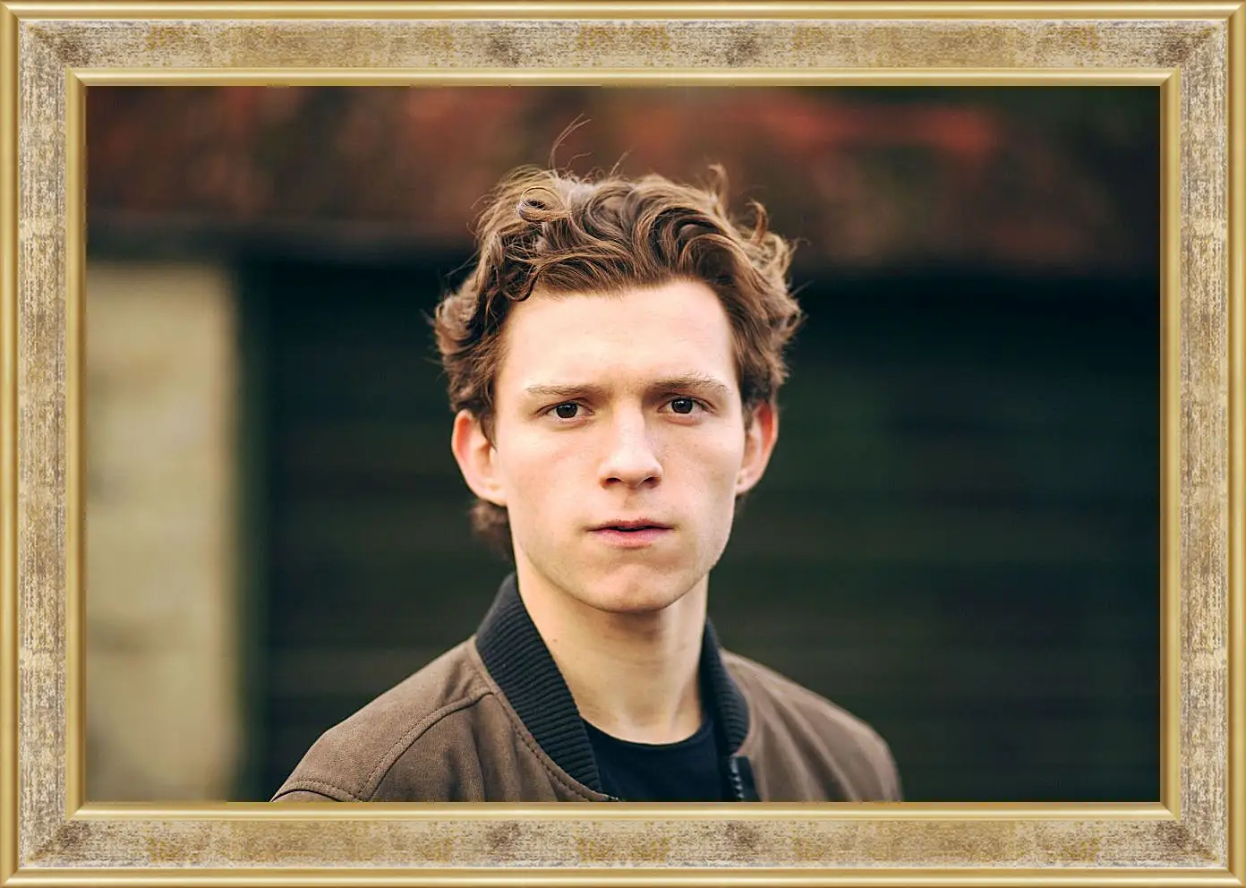 Картина в раме - Том Холланд. Tom Holland