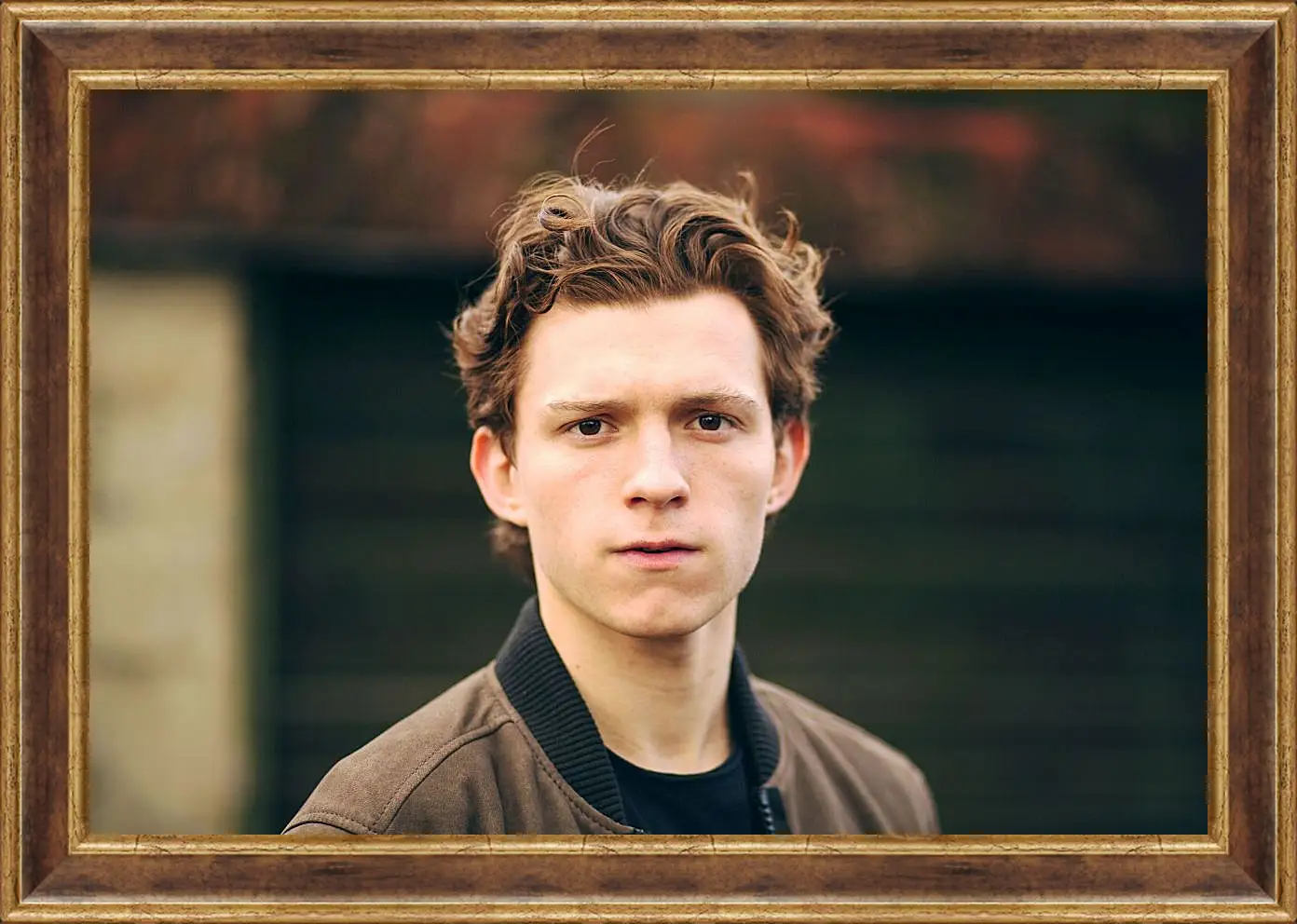 Картина в раме - Том Холланд. Tom Holland