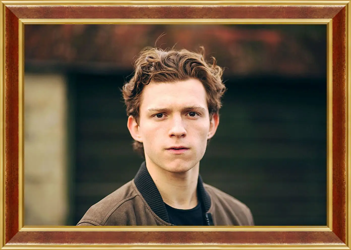 Картина в раме - Том Холланд. Tom Holland