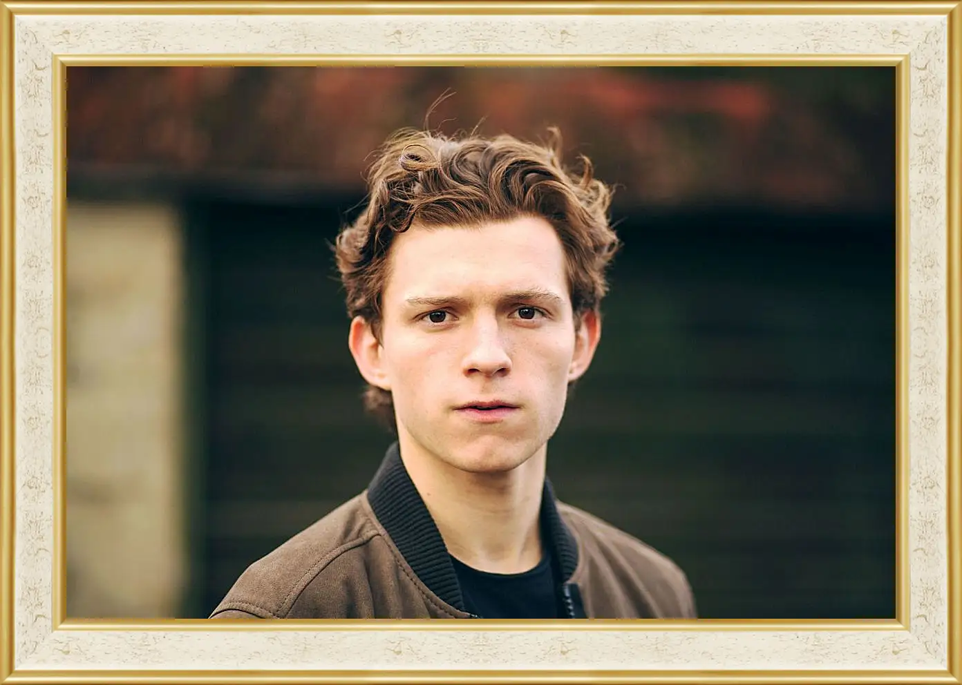 Картина в раме - Том Холланд. Tom Holland