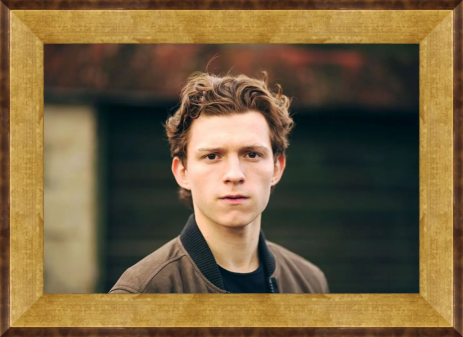 Картина в раме - Том Холланд. Tom Holland