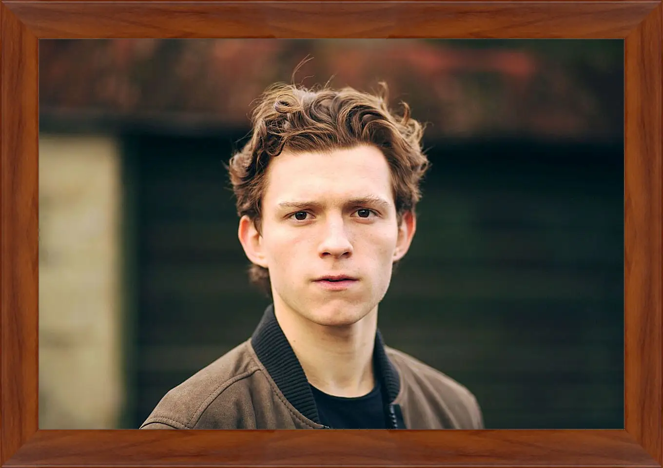 Картина в раме - Том Холланд. Tom Holland