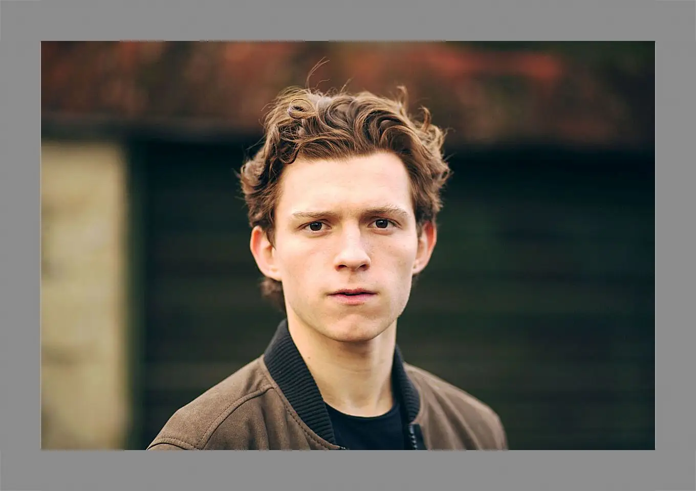 Картина в раме - Том Холланд. Tom Holland