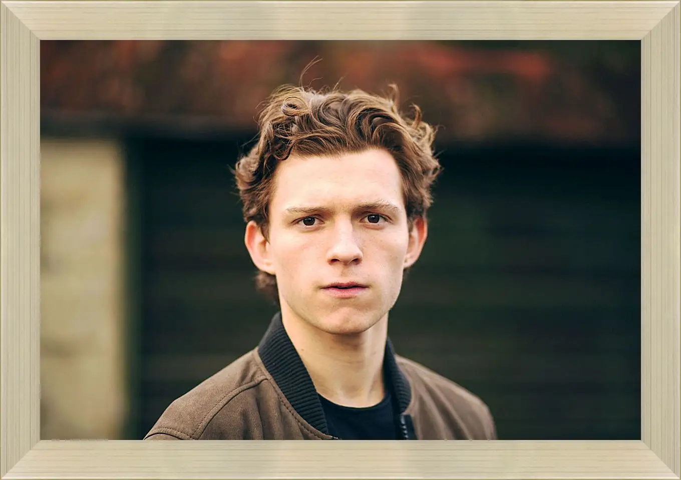 Картина в раме - Том Холланд. Tom Holland