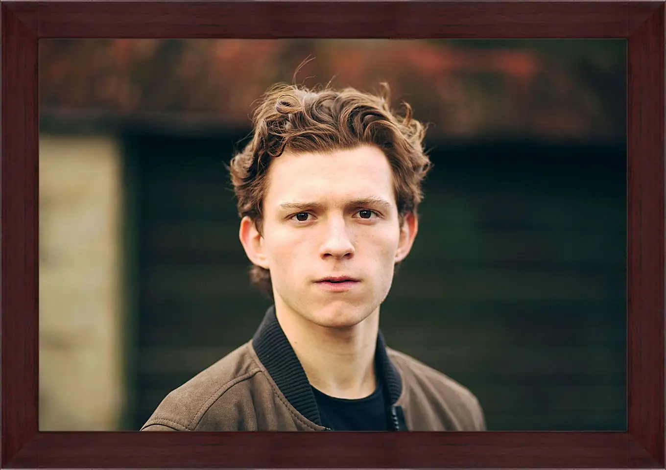 Картина в раме - Том Холланд. Tom Holland