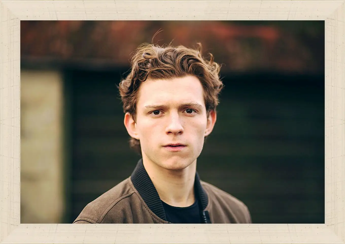 Картина в раме - Том Холланд. Tom Holland