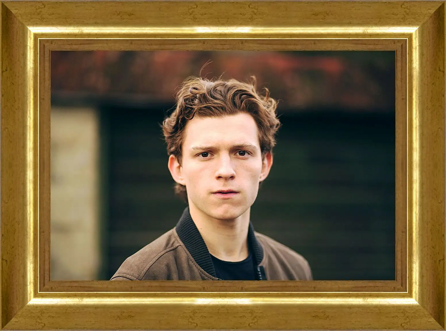 Картина в раме - Том Холланд. Tom Holland