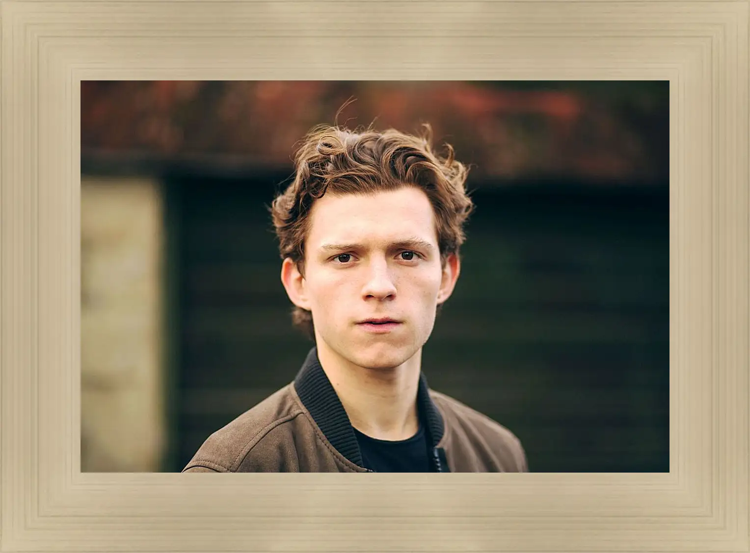 Картина в раме - Том Холланд. Tom Holland