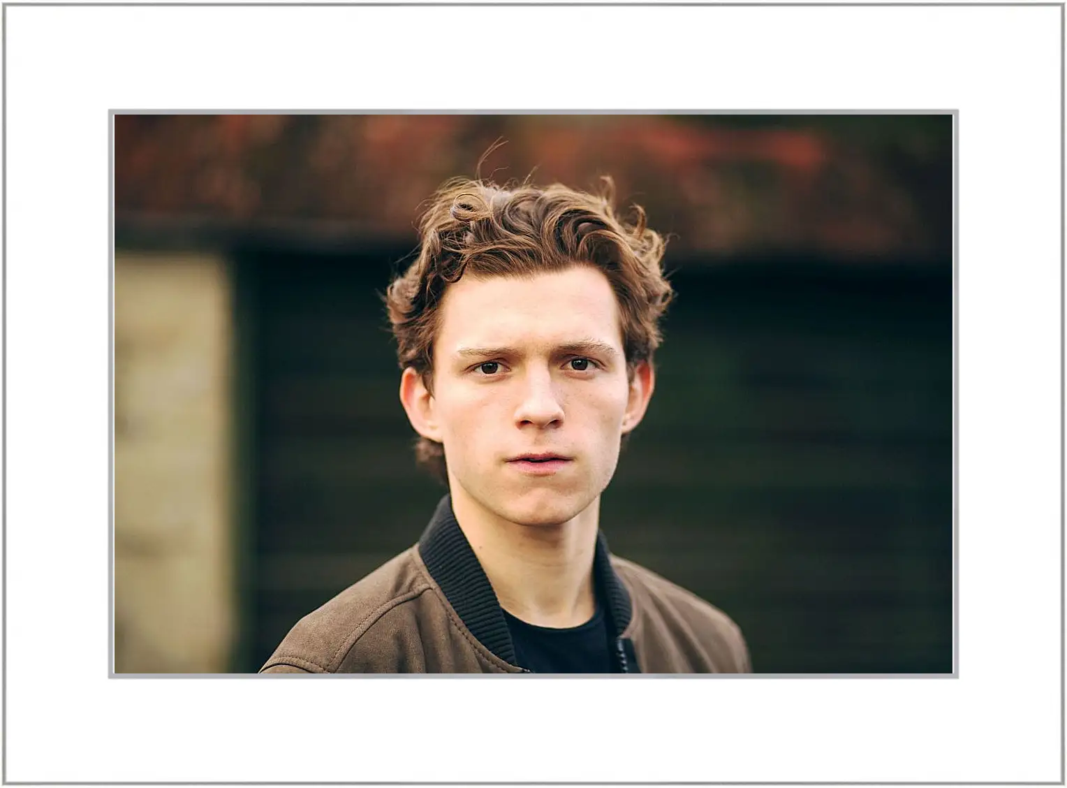 Картина в раме - Том Холланд. Tom Holland