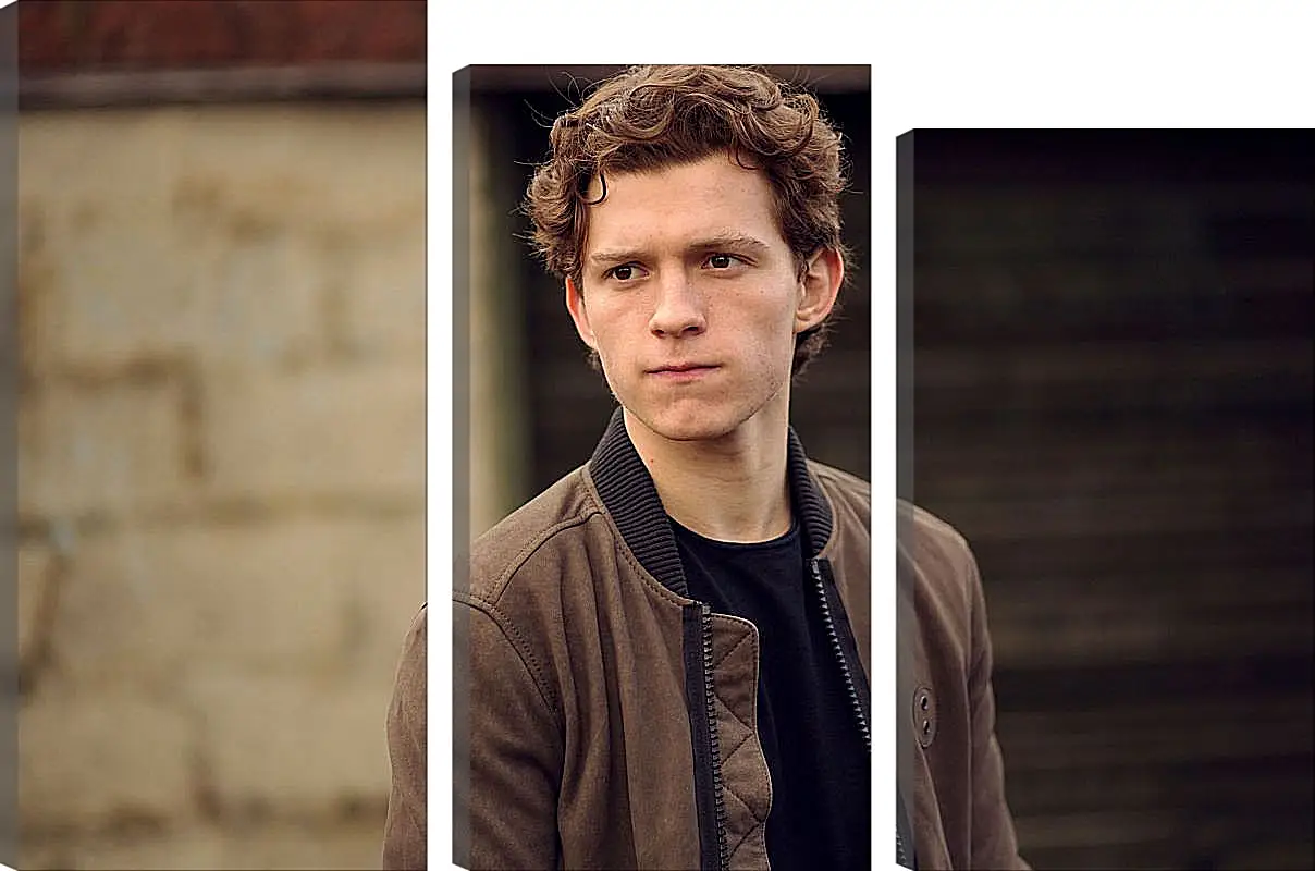 Модульная картина - Том Холланд. Tom Holland