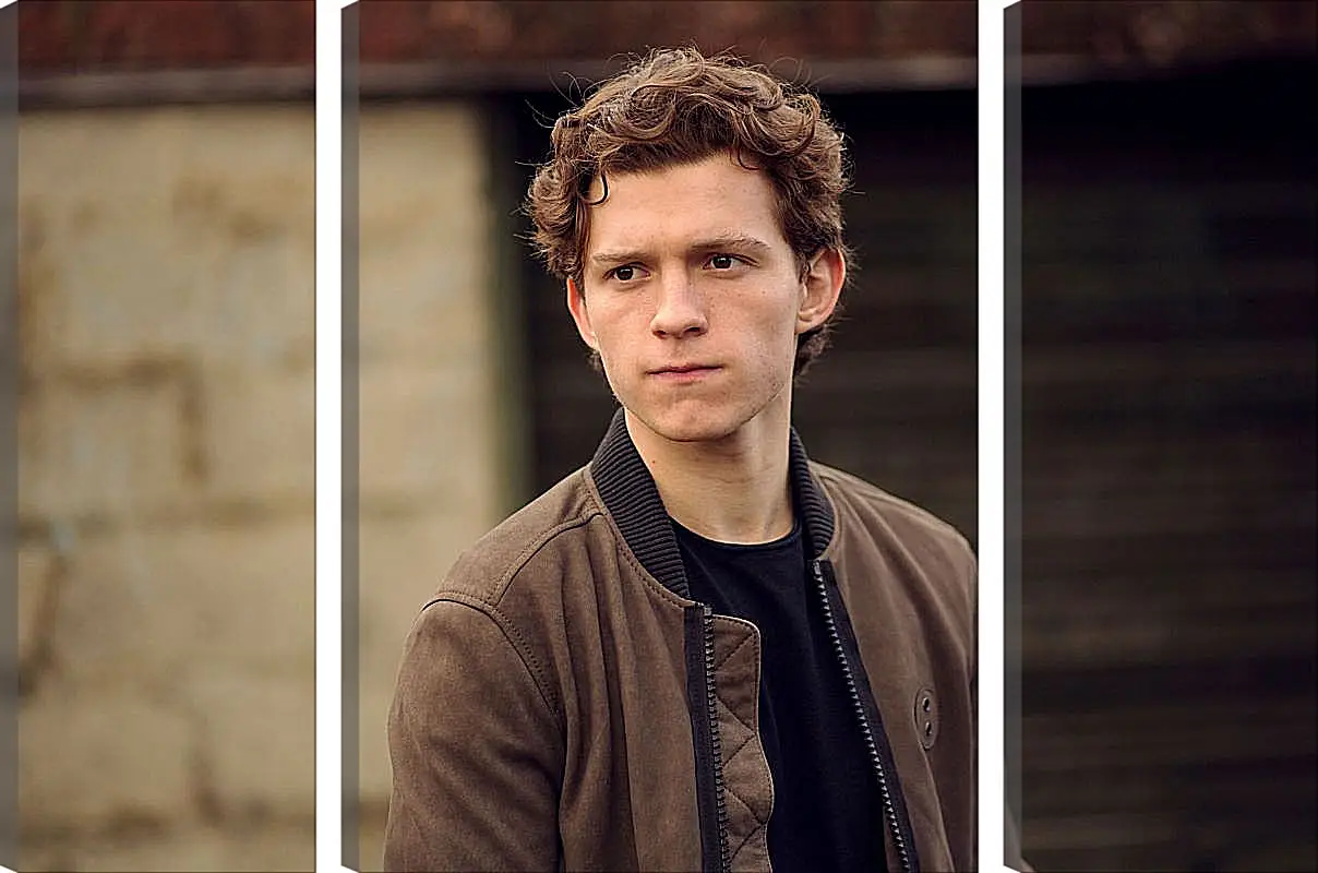 Модульная картина - Том Холланд. Tom Holland