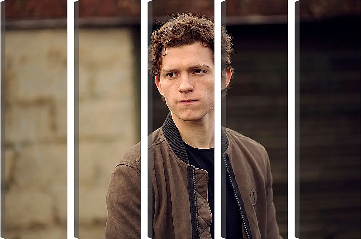 Модульная картина - Том Холланд. Tom Holland