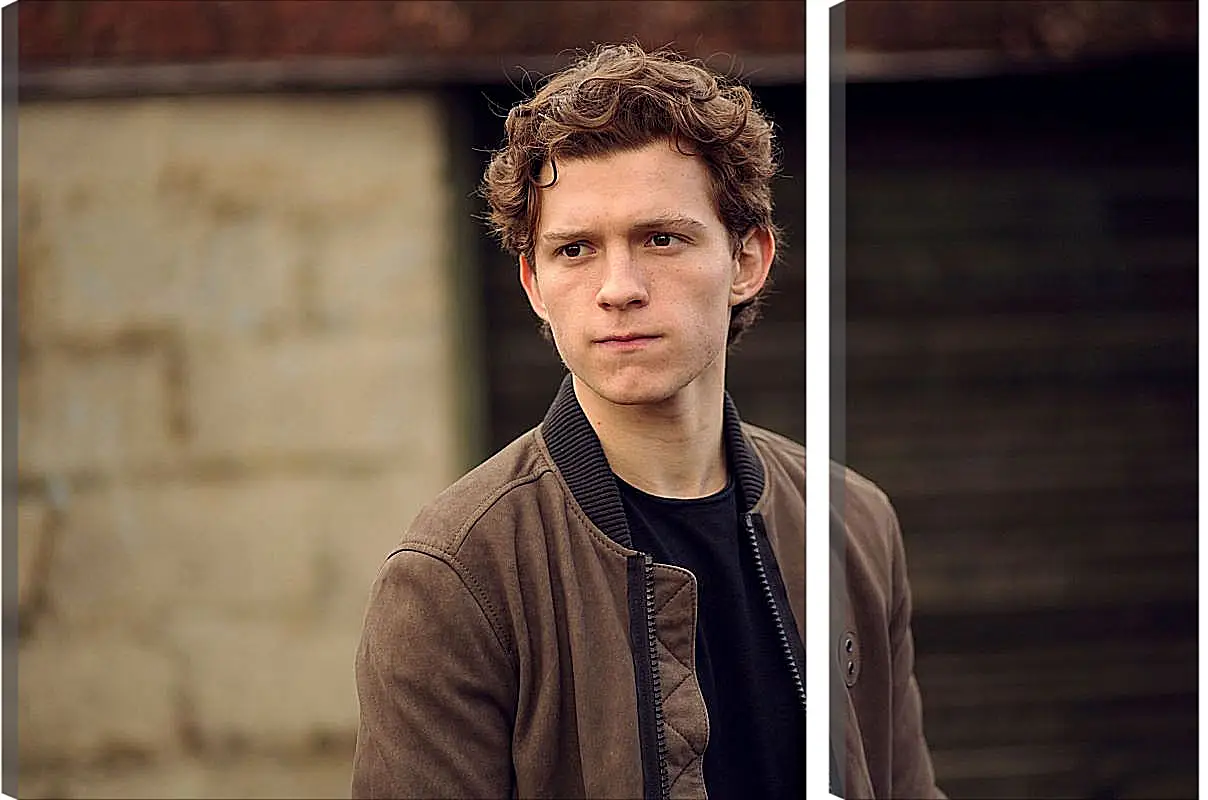 Модульная картина - Том Холланд. Tom Holland