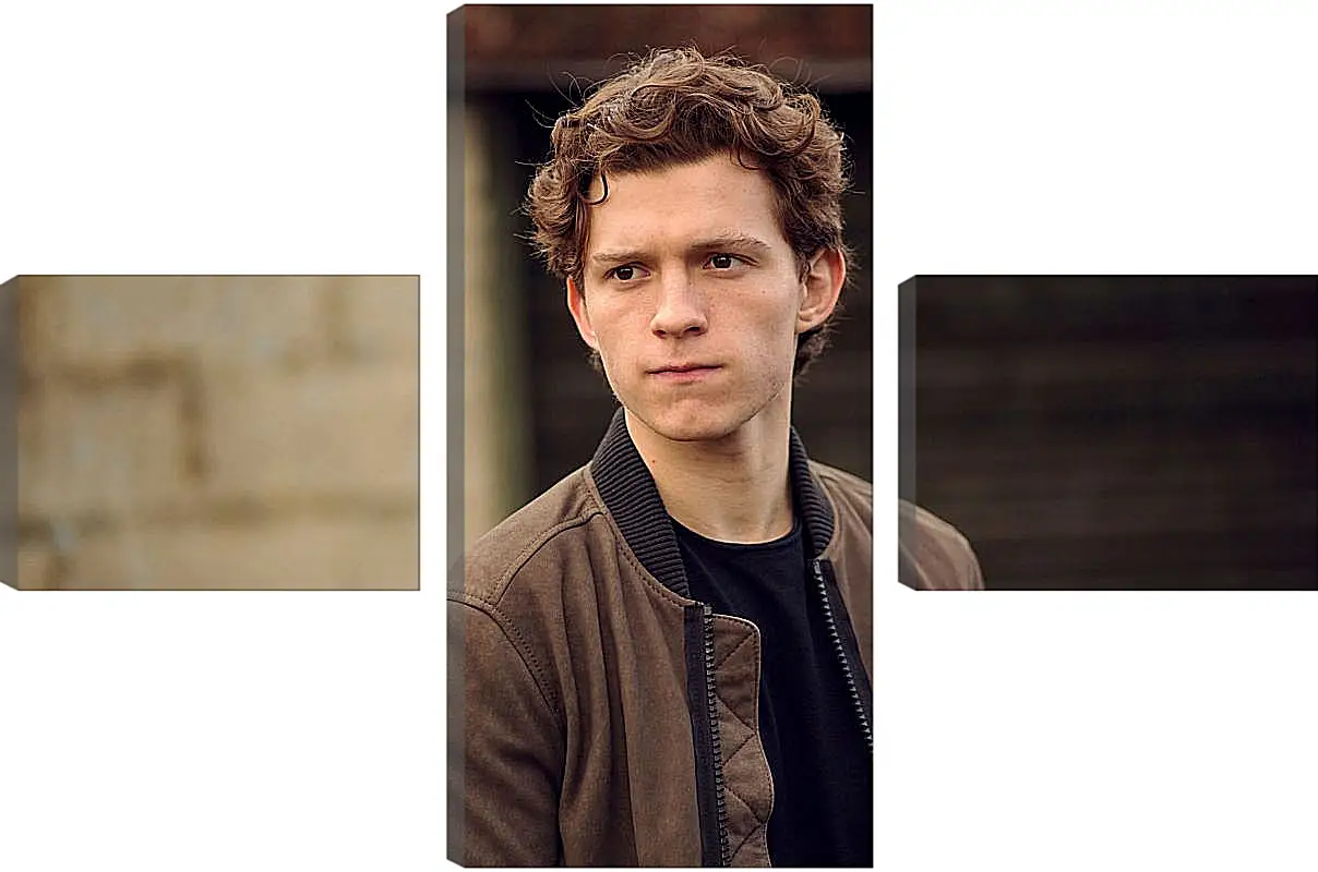 Модульная картина - Том Холланд. Tom Holland