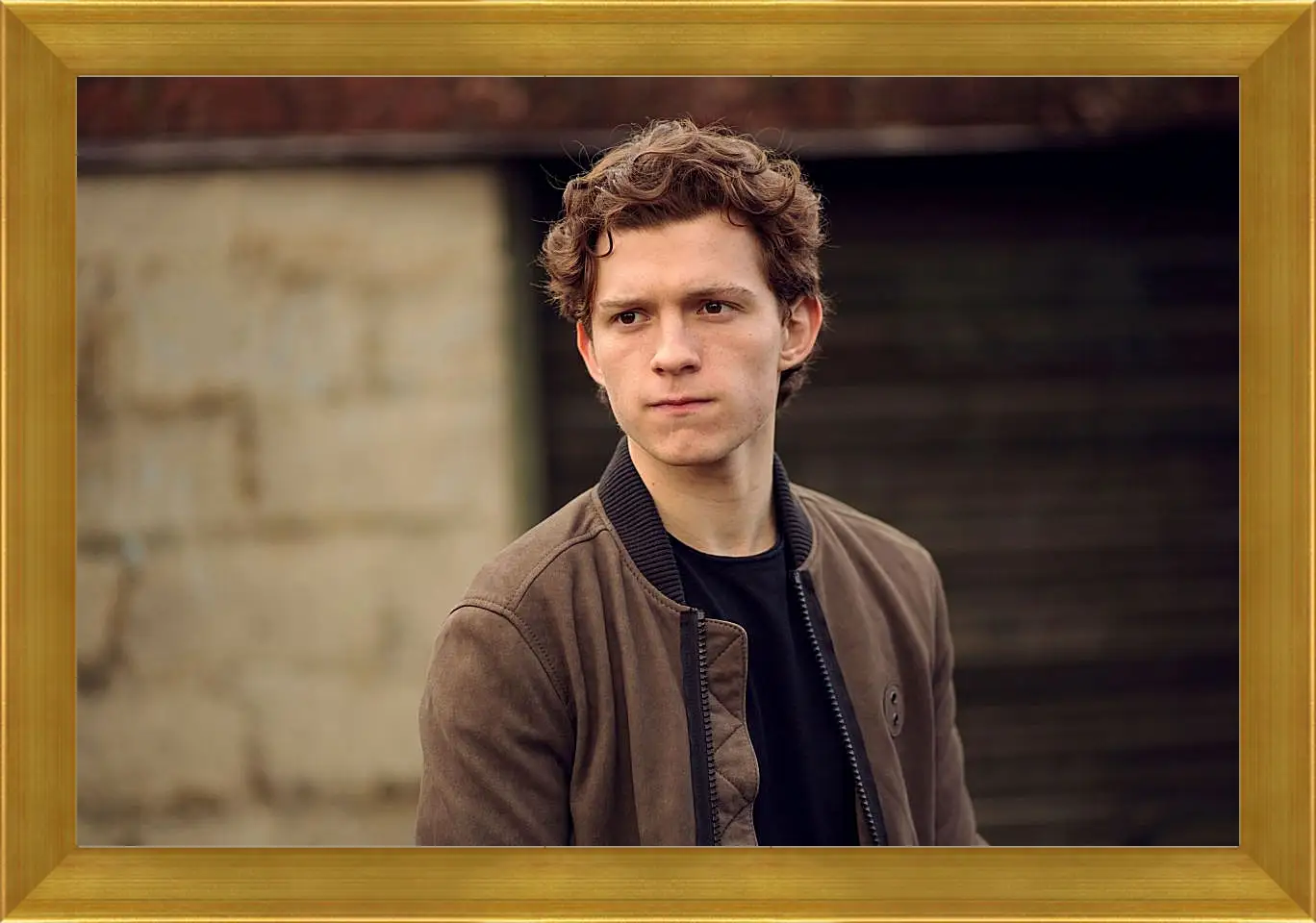 Картина в раме - Том Холланд. Tom Holland