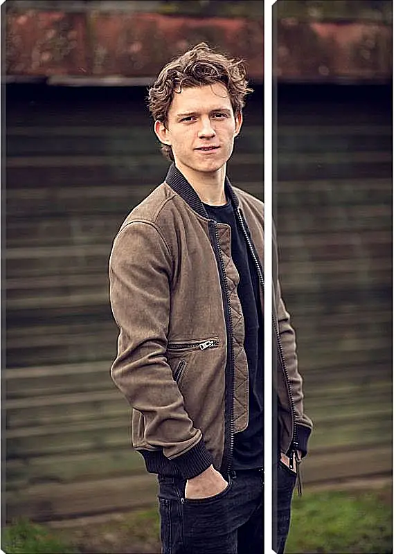 Модульная картина - Том Холланд. Tom Holland
