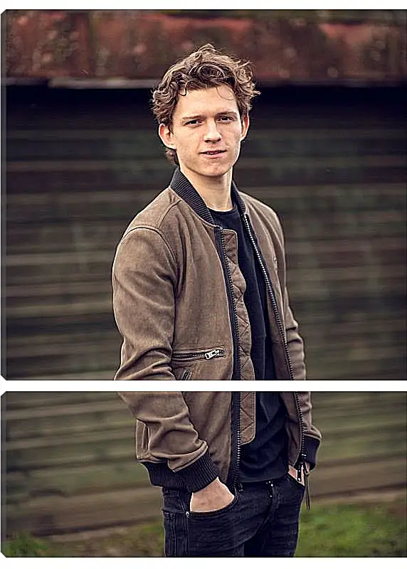 Модульная картина - Том Холланд. Tom Holland