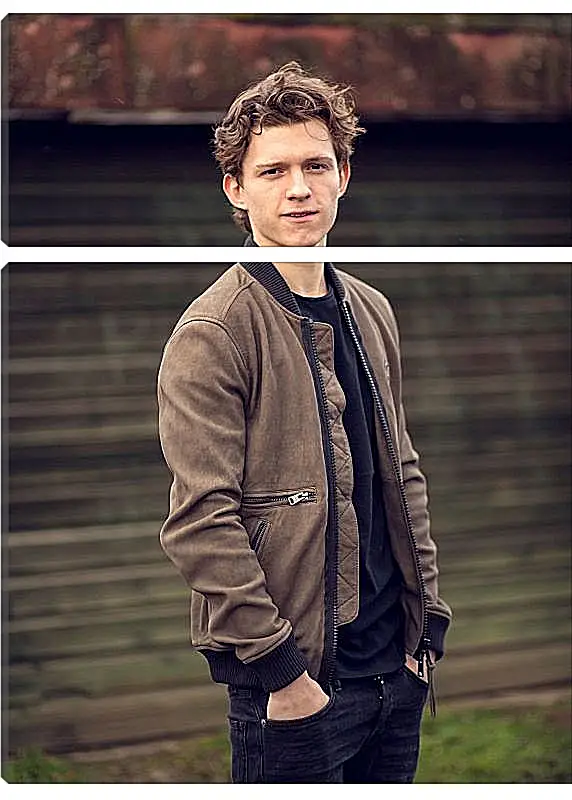 Модульная картина - Том Холланд. Tom Holland