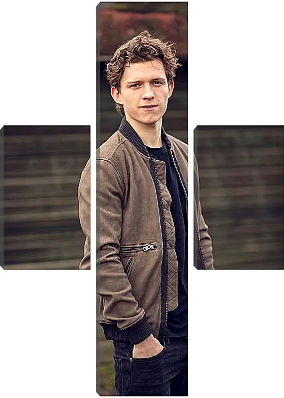 Модульная картина - Том Холланд. Tom Holland