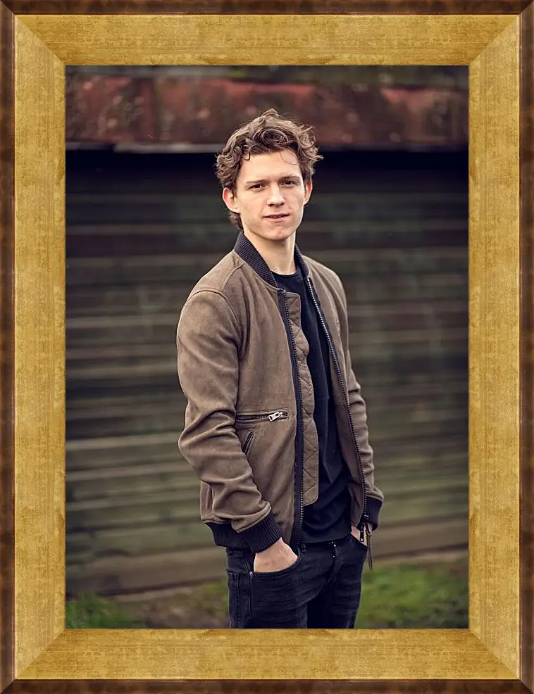 Картина в раме - Том Холланд. Tom Holland