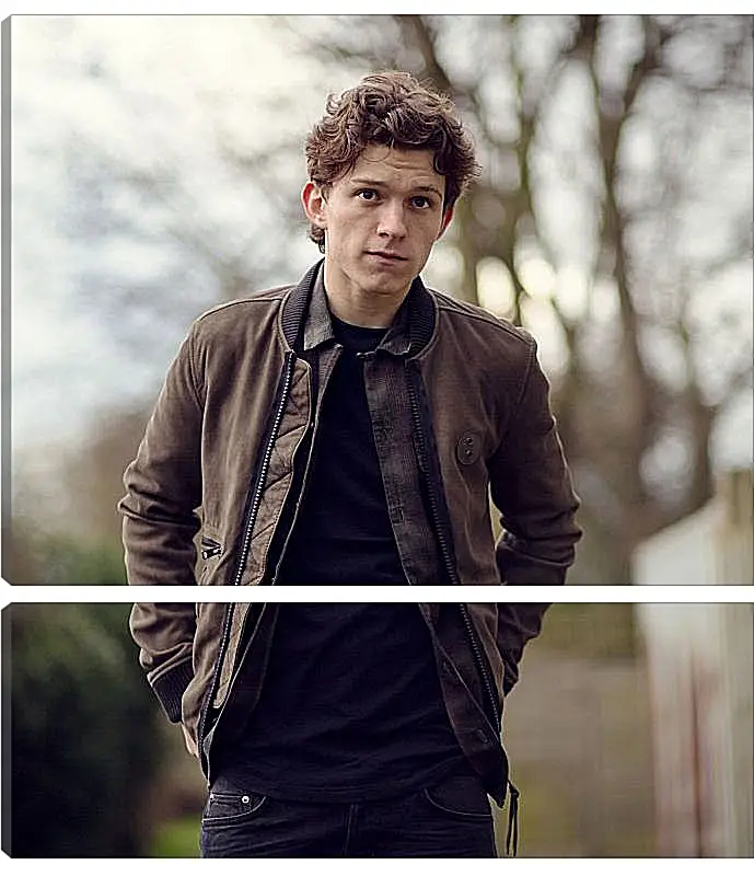 Модульная картина - Том Холланд. Tom Holland