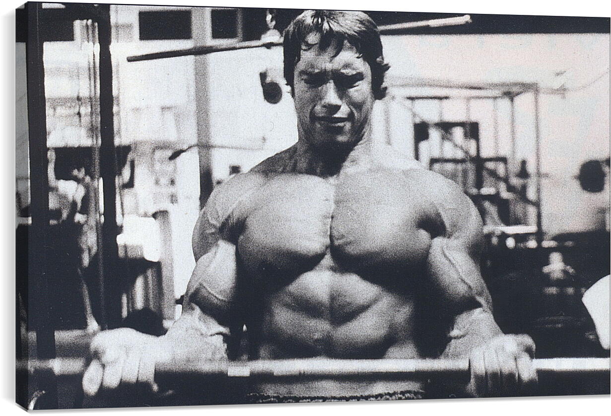 Постер и плакат - Шварценеггер Арнольд (Arnold Schwarzenegger)