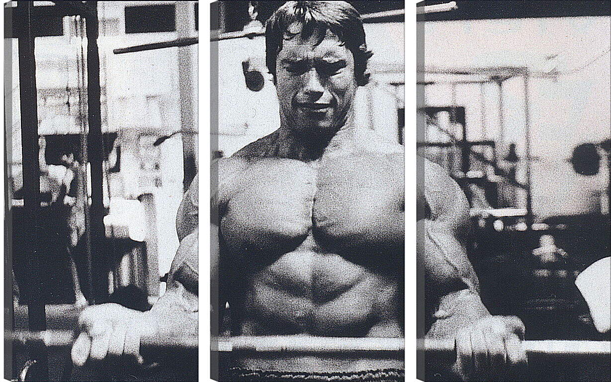 Модульная картина - Шварценеггер Арнольд (Arnold Schwarzenegger)