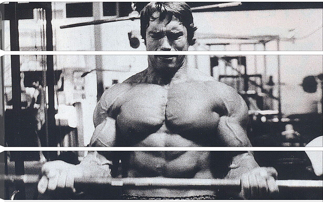 Модульная картина - Шварценеггер Арнольд (Arnold Schwarzenegger)