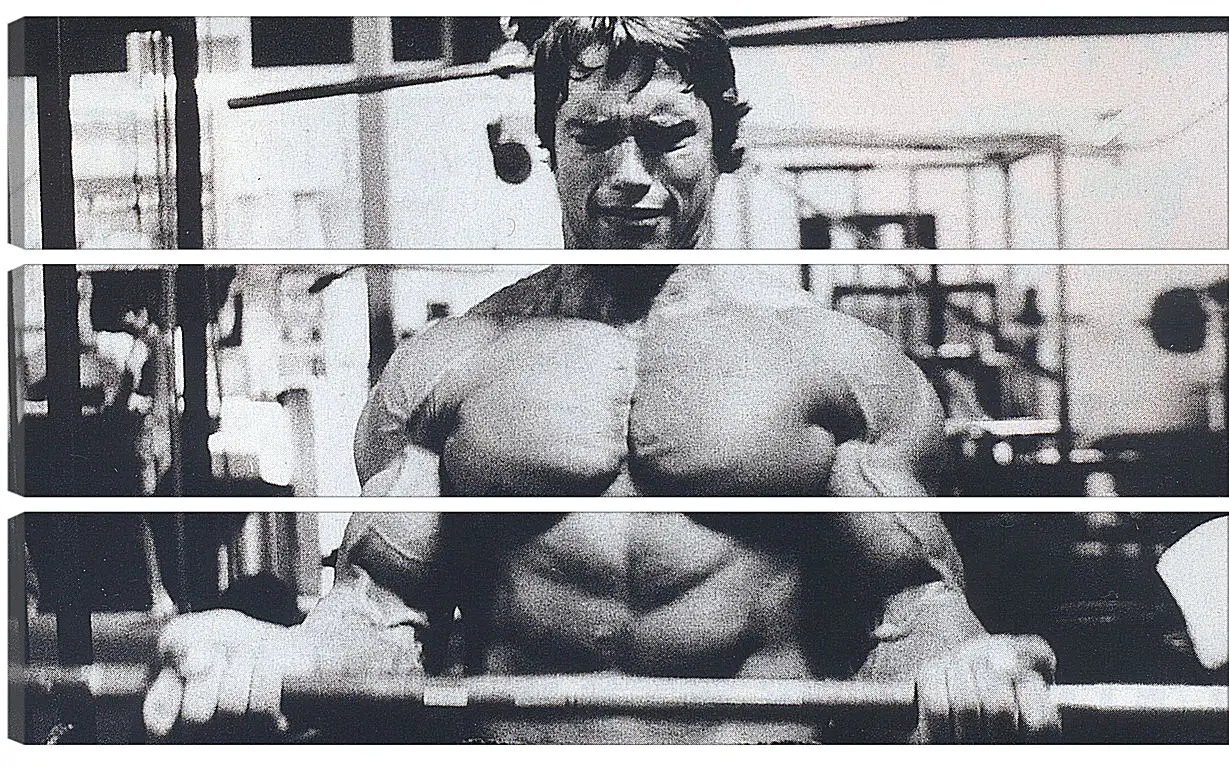 Модульная картина - Шварценеггер Арнольд (Arnold Schwarzenegger)