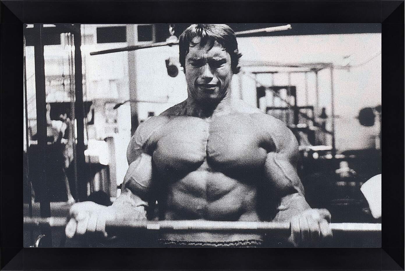 Картина в раме - Шварценеггер Арнольд (Arnold Schwarzenegger)