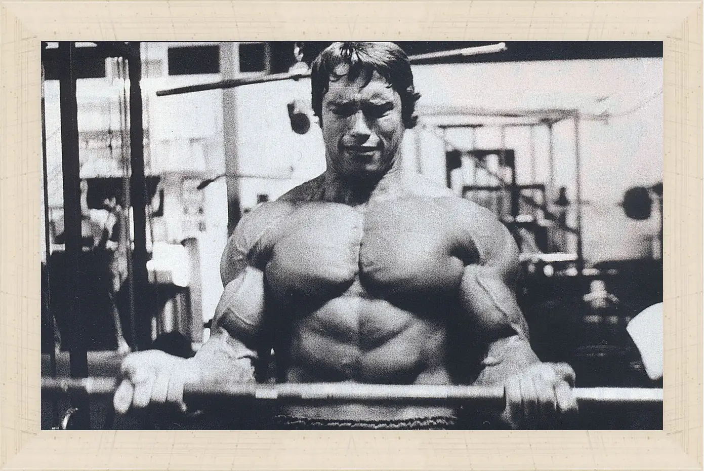 Картина в раме - Шварценеггер Арнольд (Arnold Schwarzenegger)