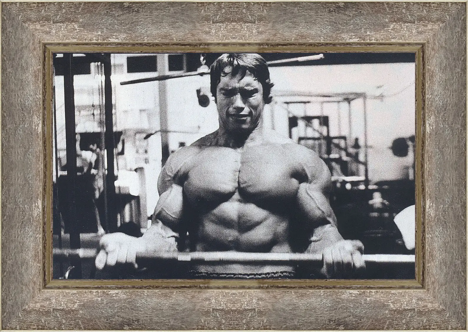 Картина в раме - Шварценеггер Арнольд (Arnold Schwarzenegger)