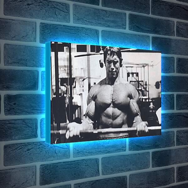 Лайтбокс световая панель - Шварценеггер Арнольд (Arnold Schwarzenegger)