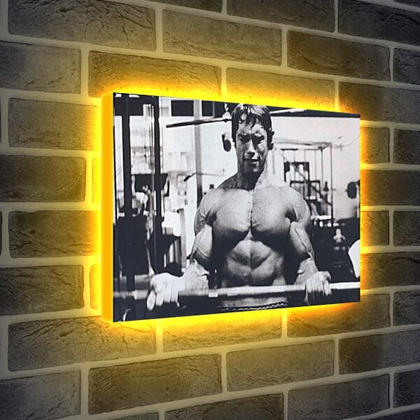 Лайтбокс световая панель - Шварценеггер Арнольд (Arnold Schwarzenegger)