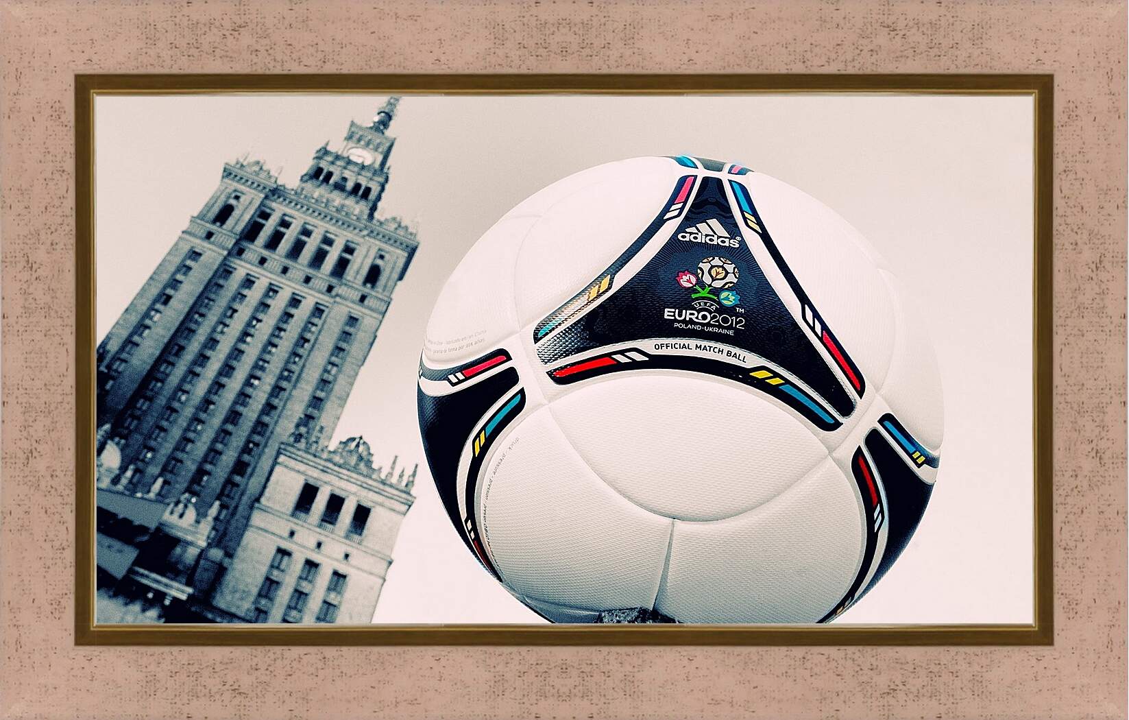 Картина в раме - Мяч Чемпионата Европы 2012