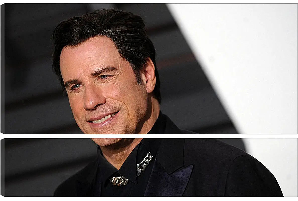 Модульная картина - Джон Траволта. John Travolta